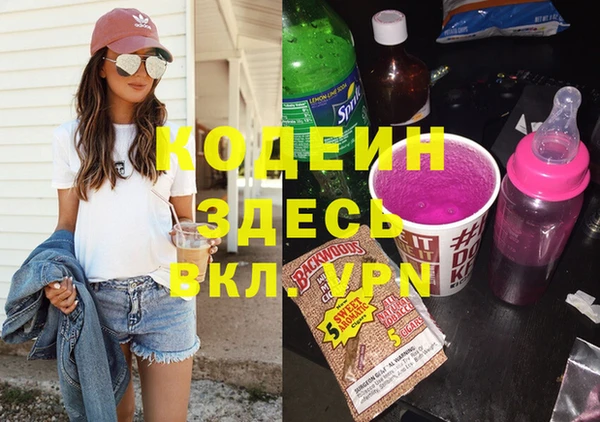 хмурый Алексин