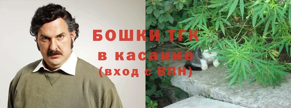 хмурый Алексин