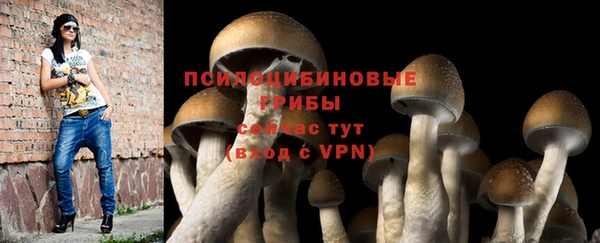 прущий лед Алексеевка