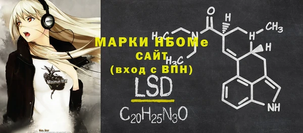 хмурый Алексин