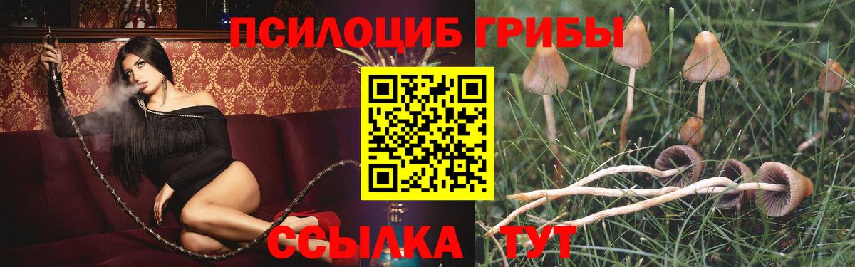 Галлюциногенные грибы мухоморы  дарнет шоп  Ижевск  Вход с VPN 